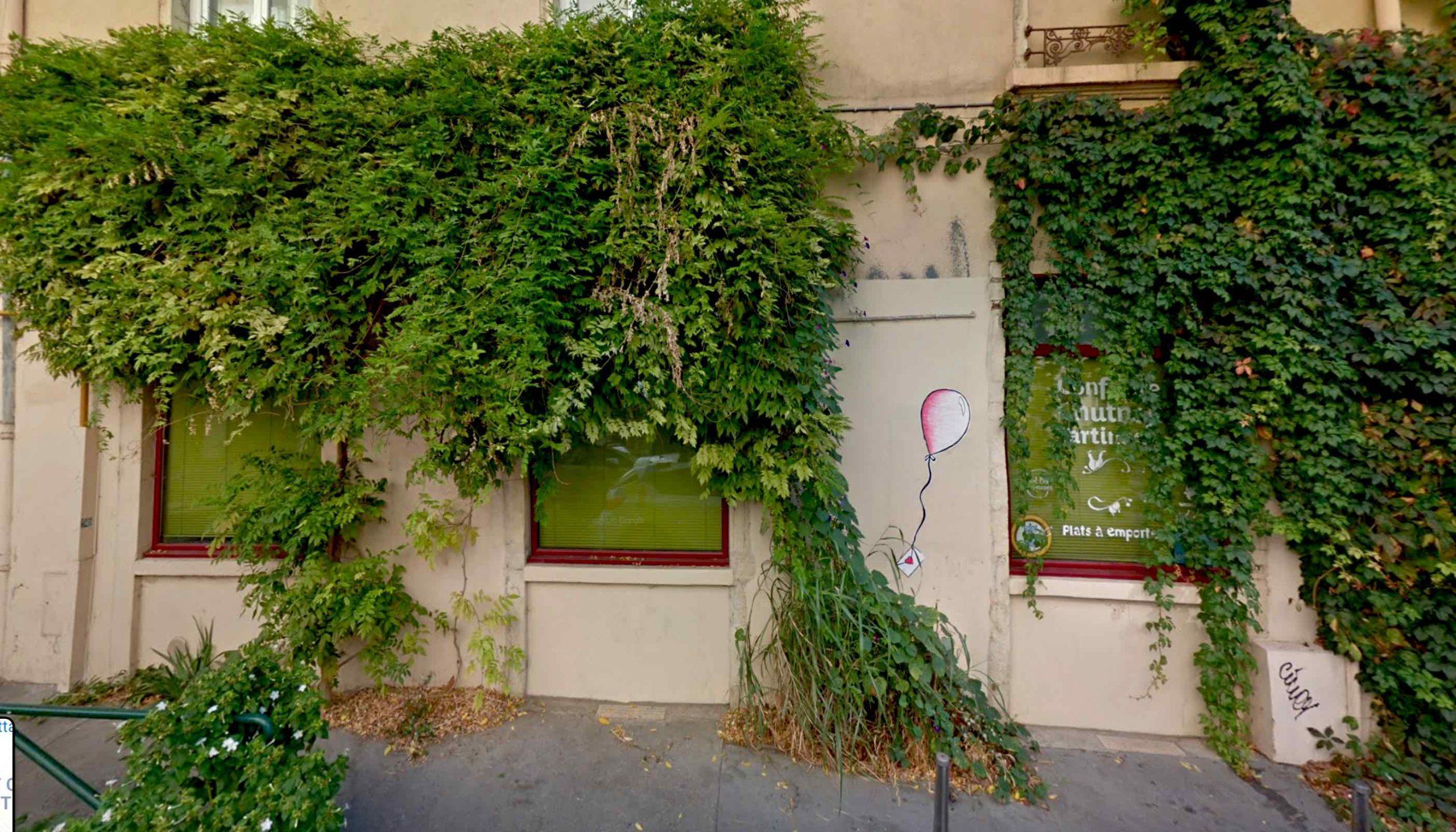 La Nature Fait Le Mur En Plein Cœur De Lyon - Fondation Pour La Nature ...